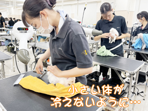 定期シャンプーでいつも清潔！